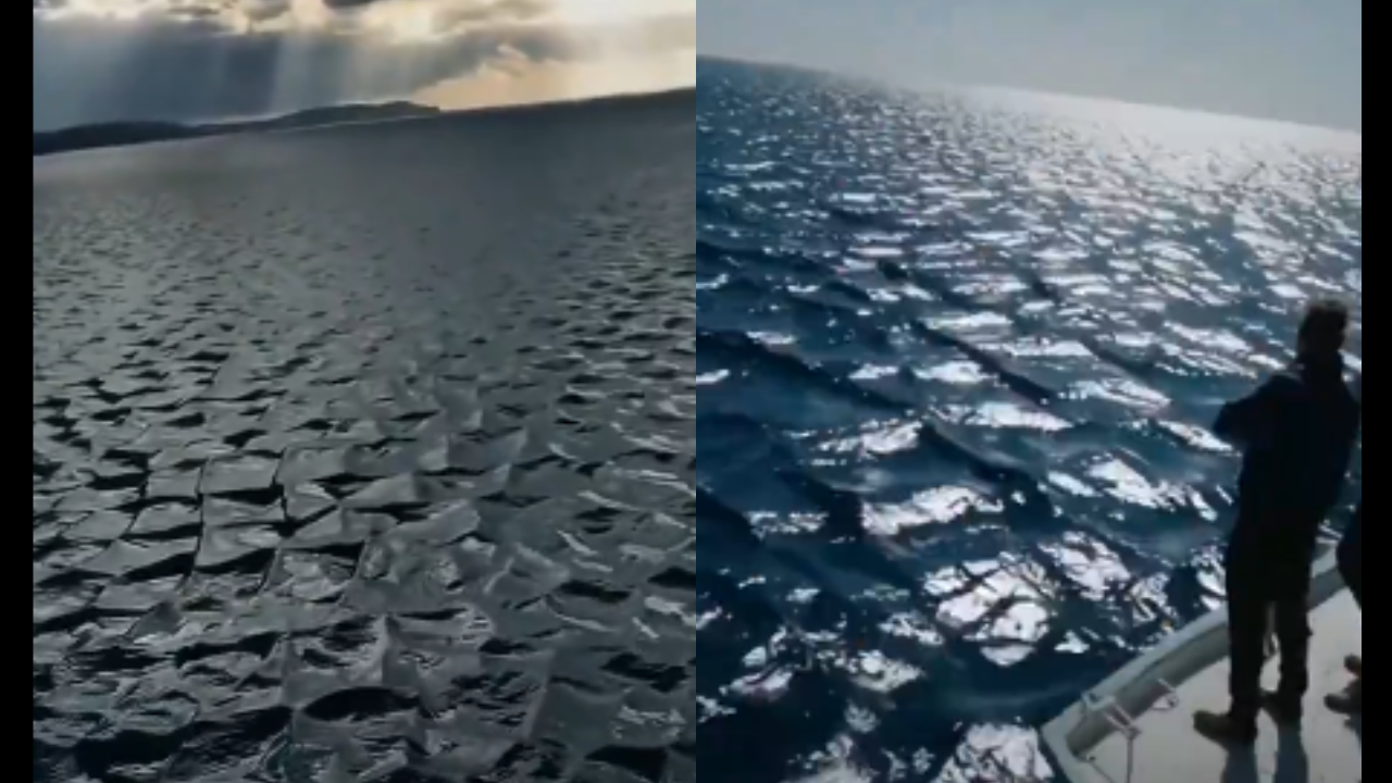 ‘Most Harmful Waves’: Viral Video Of Huge Sq. Waves In Open Ocean Leaves Web Terrified