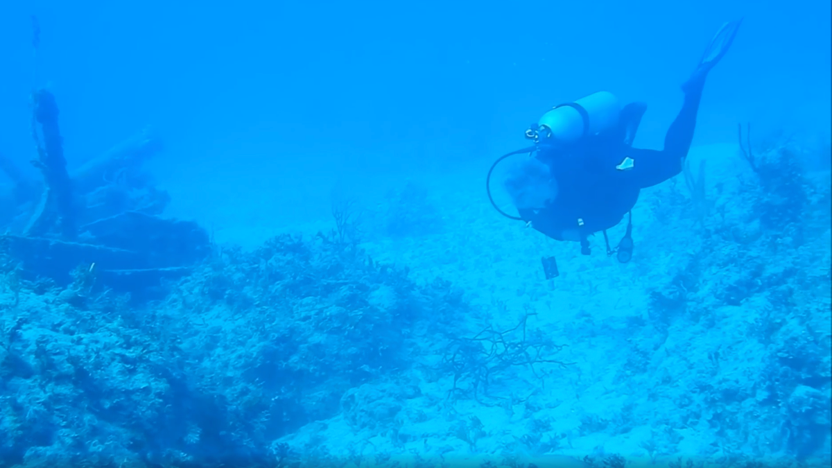 Diver’s footage reveals eerie actuality of listening to lively submarine sound whereas underwater