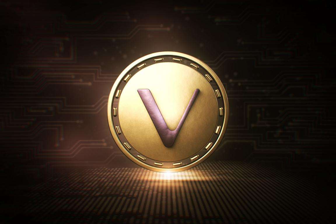 VECHAINS LEDGER is not only a financial instrument but also mirror of global truths