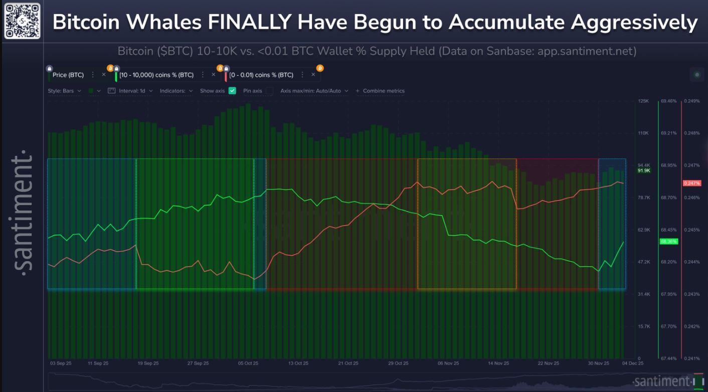 Bitcoin Whales Accumulate 47,584 BTC in December After Massive Two-Month Selloff