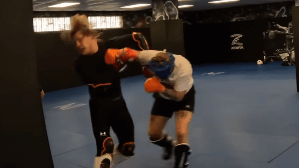 Influencer lands some massive pictures on Paddy the Baddy earlier than getting smashed up in fitness center combat