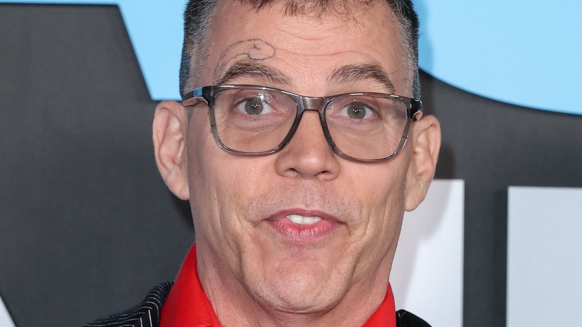 Steve-O shares brutally trustworthy cause he can’t smoke weed anymore