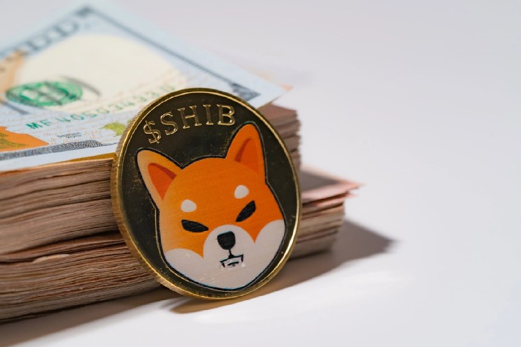 7 of 8 Shiba Inu (SHIB) Spot Flow Timeframes Turn Red: What to Expect From the Price