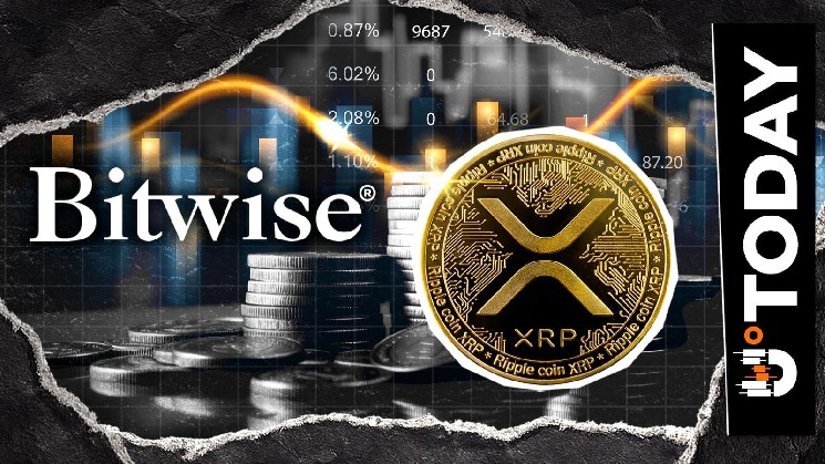 Bitwise Moves $15.4 Million Worth of XRP Out of Circulation