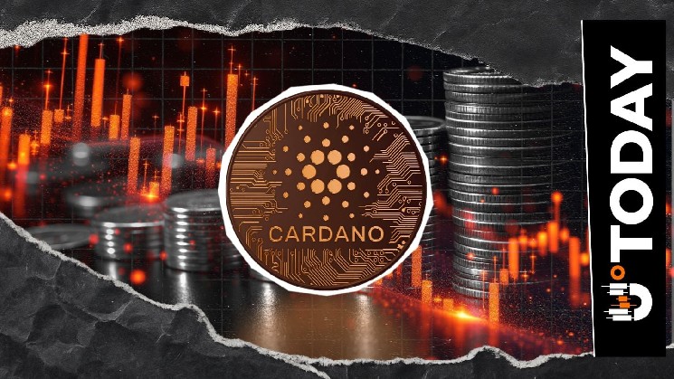 Cardano Hits 10,166% Liquidation Imbalance as ADA Price Tests $0.20 Support