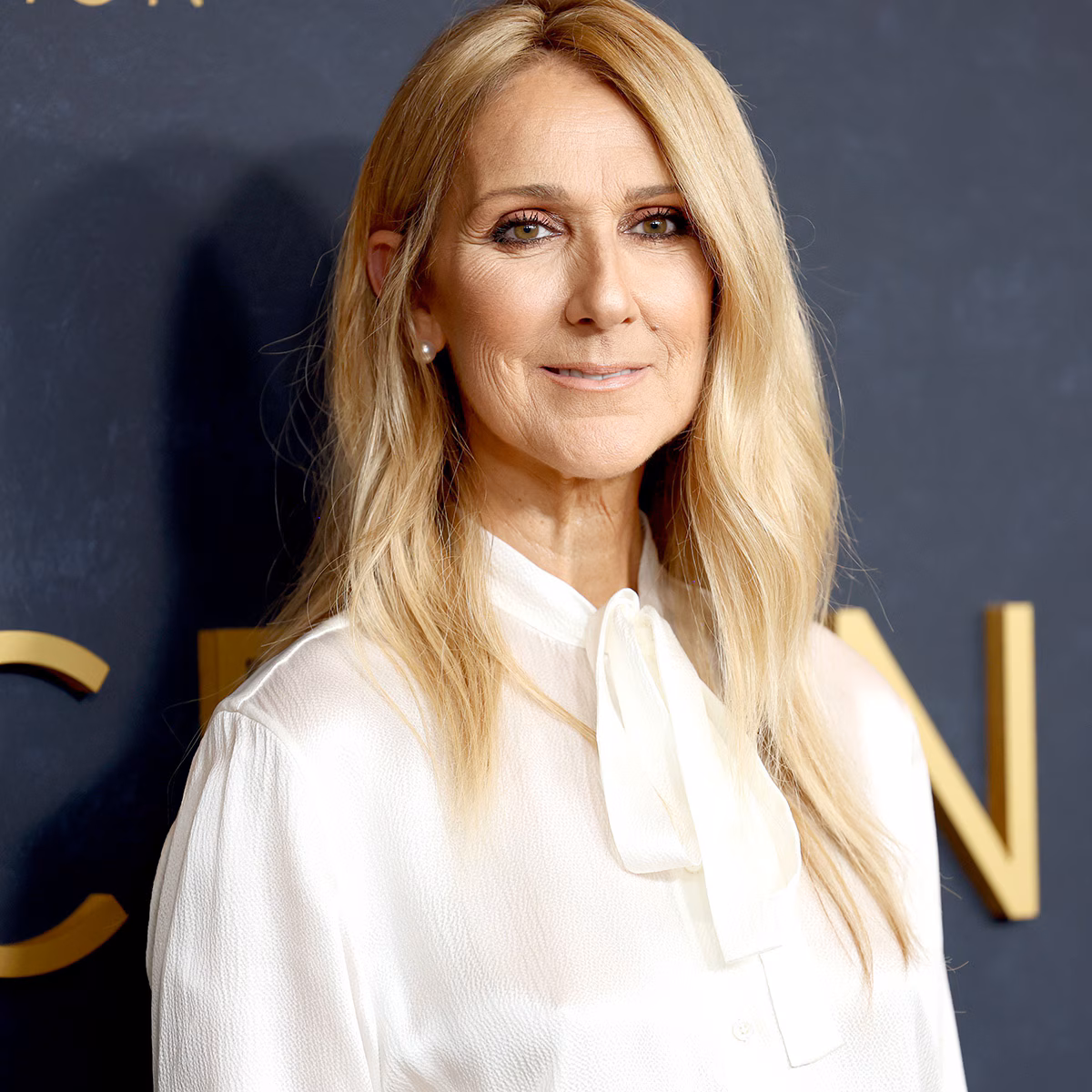 Celine Dion Makes First Public Appearance in Two Years