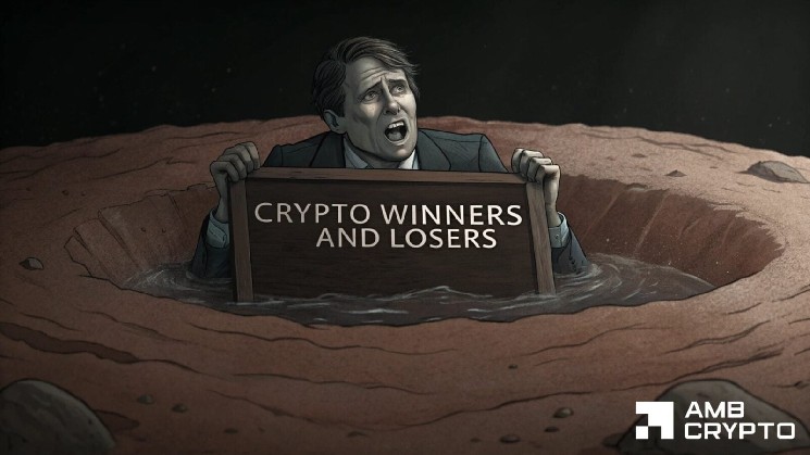 Crypto Market’s Weekly Winners and Losers: VET, RAIN, STABLE, and ARB