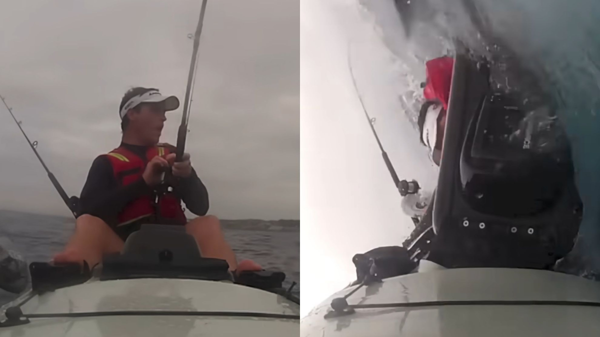 Great White Shark Slams Into Kayak, Sending Fisherman Into Ocean in Terrifying Encounter