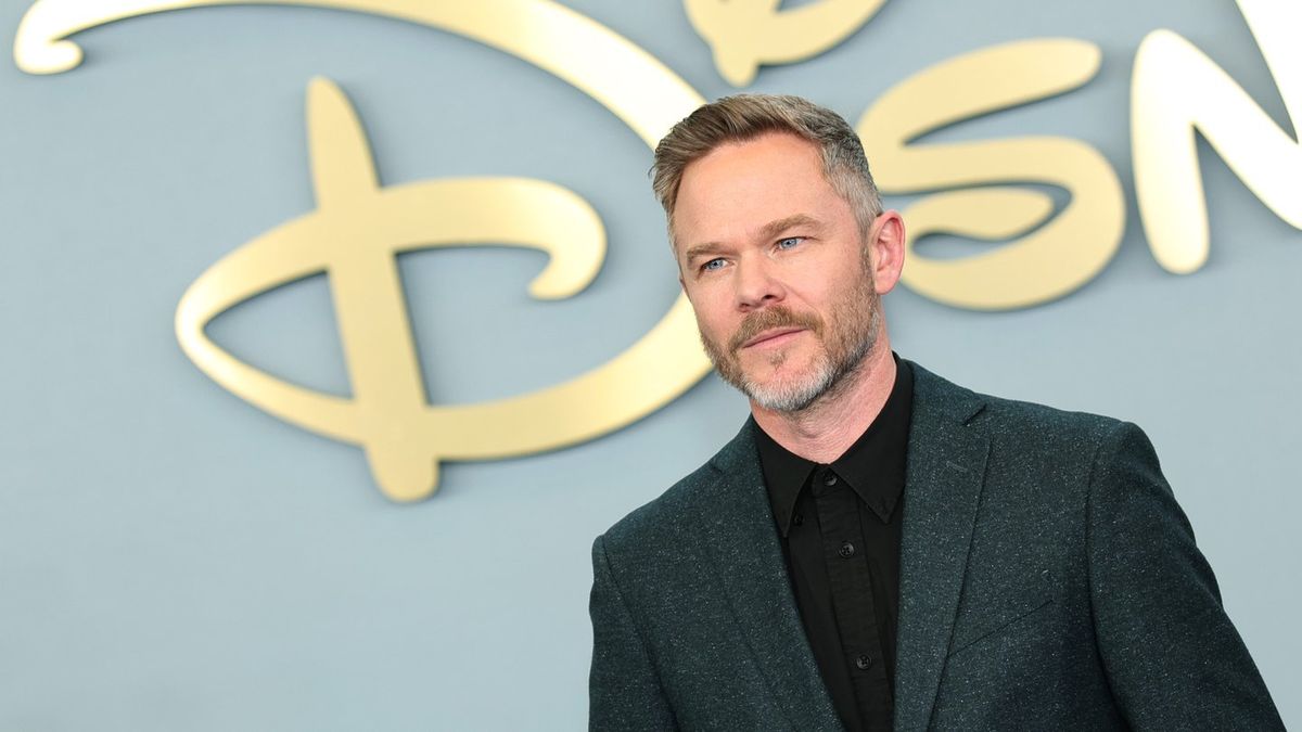 Netflix and MCU Stars Are Identical Twins, Not the Same Person; Viewers Baffled