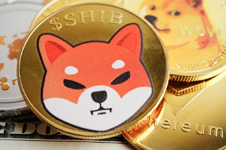 Shiba Inu (SHIB) Sees Bullish Outflows Surge 79% in 24 Hours