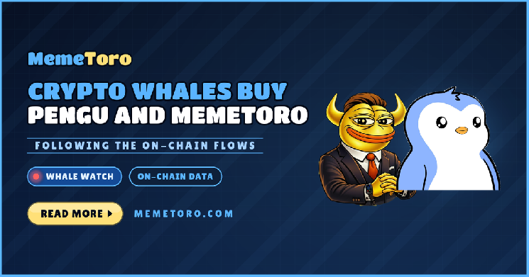 Top Meme Coin Tokenomics to Invest in 2026: Why MemeToro’s Fixed Supply Matters for Investors