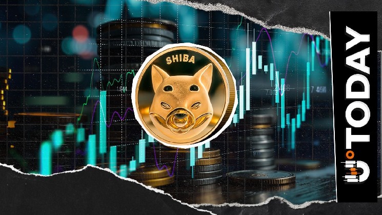 144 Billion SHIB Netflow Signals Warning Amid 5% Price Rally
