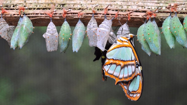 $3.2 Million ‘Bitcoin Butterfly’ Option Trade Bets on $95,000 by End of October