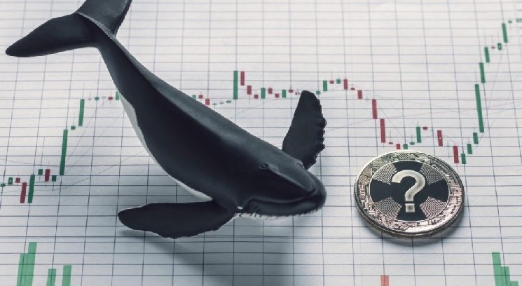 Bitcoin, Altcoins See Intense Whale Activity After Inflation Data — Details