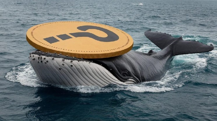 Bitcoin (BTC) Reverses Course as Whales Trade These Altcoins
