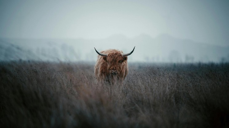 Bitcoin Surges 44% in Q3, Signaling Potential Full-Blown Crypto Bull Run
