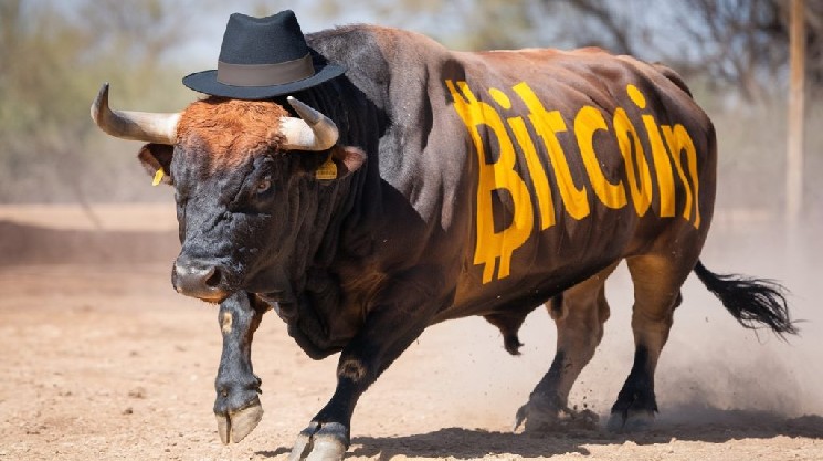 Bitcoin Warning: Signal That Failed in Past Bull Runs Flares Up Again