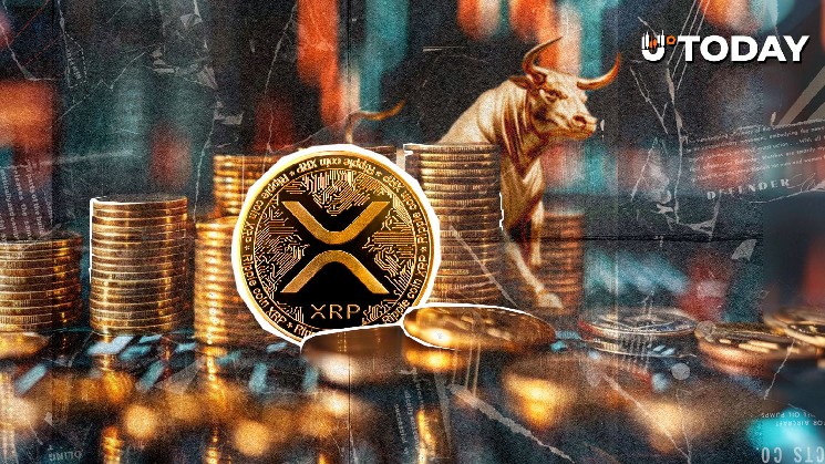 Bitwise Buys Over $19 Million in XRP