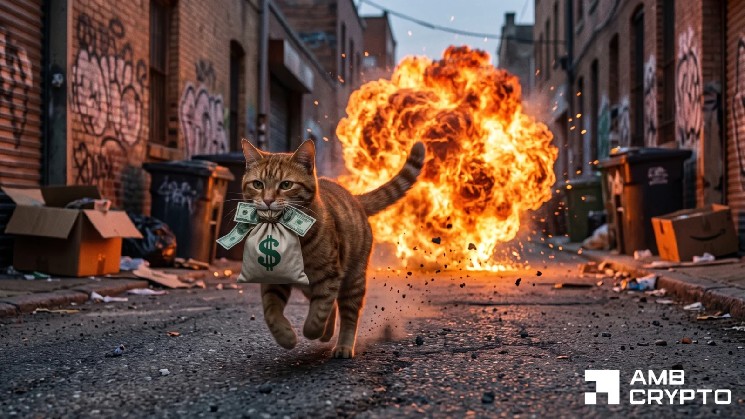 CASHCAT Falls 30%, Yet Key Support Level Historically Triggers Rallies