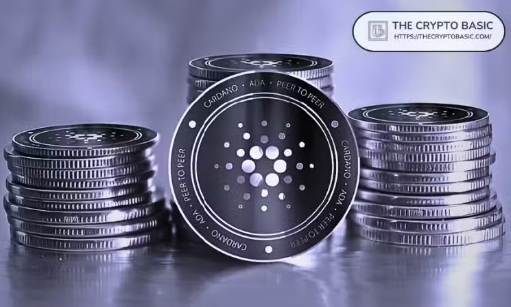 Cardano’s Midnight Privacy Sidechain Winds Down Developer Relations Team