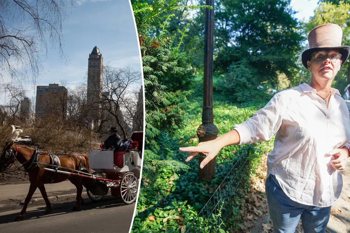 Carriage Horse Owners Plan Lawsuit Against Central Park Over Fatal Yew Poisoning