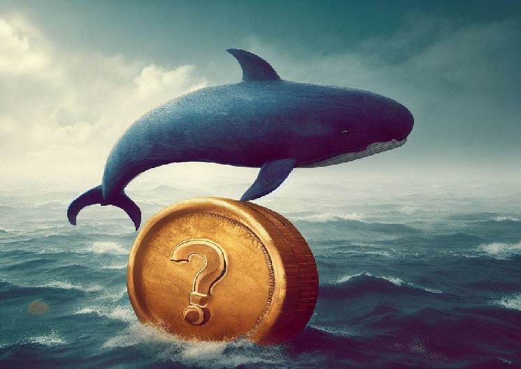 Chinese Whale May Have Made Another Large Altcoin Purchase as Token Surges
