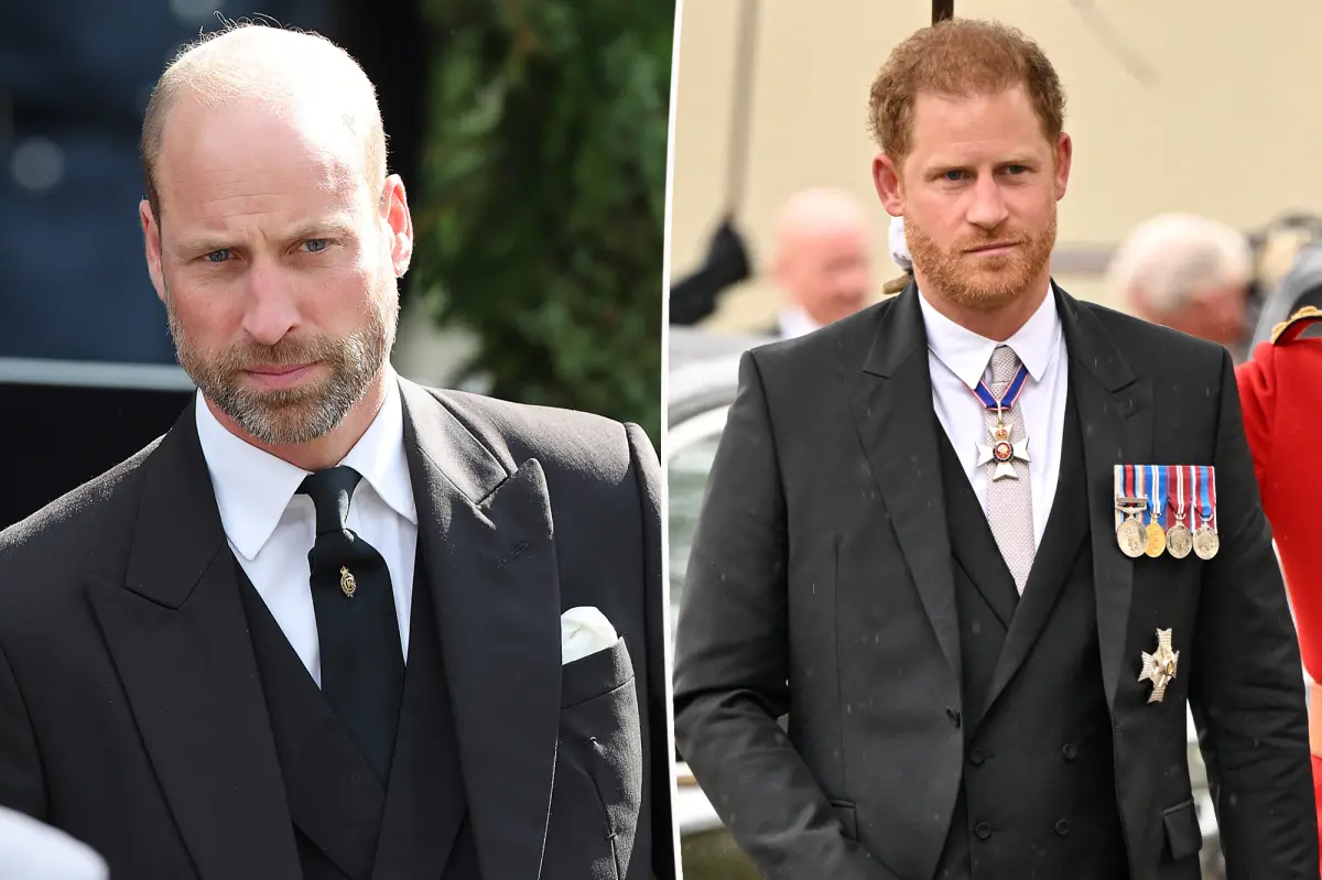 ‘Concerned’ Prince William ‘washed his hands’ of estranged brother Prince Harry after latest ‘distraction’
