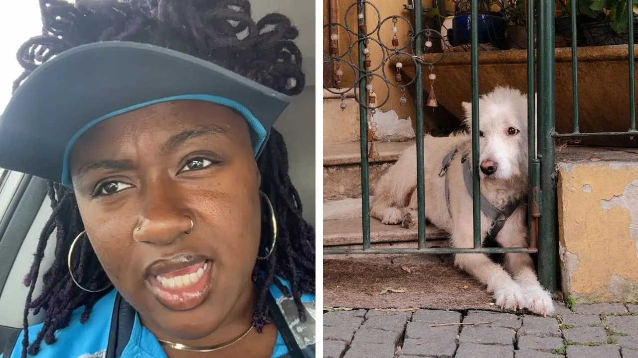 Delivery Driver Refuses to Test Stranger’s Dog Obedience, Sparking TikTok Debate