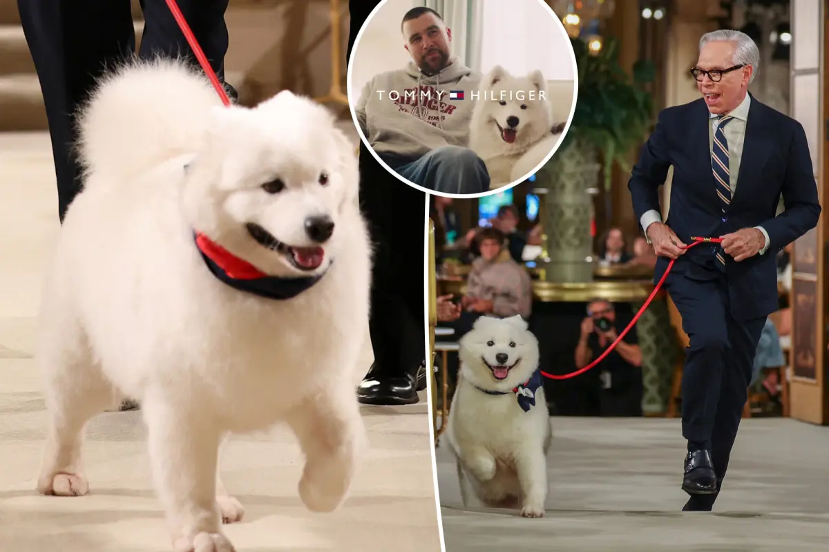 Did Taylor Swift and Travis Kelce’s Dog Wendy Make Her Runway Debut?