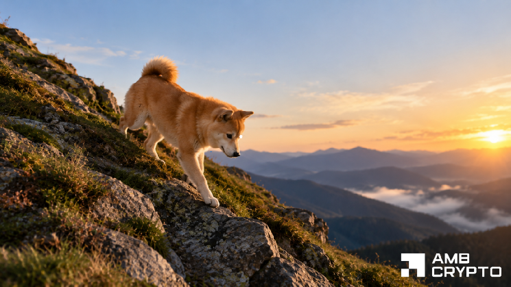 Dogecoin Whales Accumulate 240M DOGE: Why Is Price Still Falling?