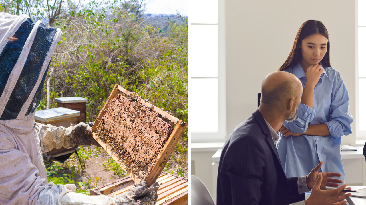 Employee Shares Bizarre Workplace Dispute After Coworker Accuses Him of “Grooming” Younger Colleague Over Bees