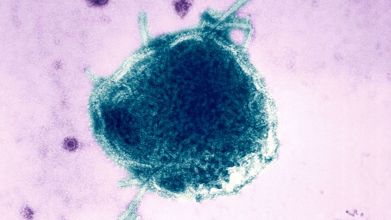 Pennsylvania Reports Fourth Measles Death