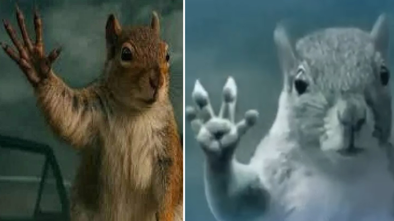 Squirrel Waving Goodbye Before Being Sucked Into a Tornado in ‘Man Of Steel’ Goes Viral on Twitter