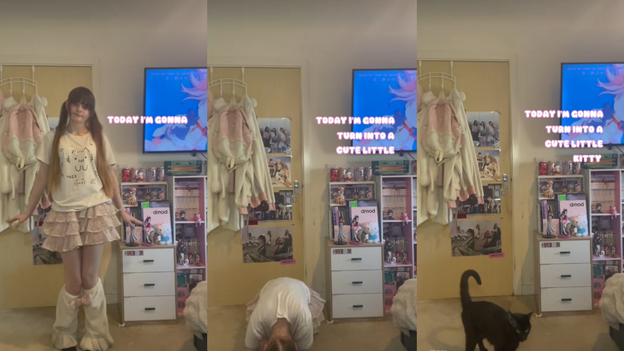 ‘Turn Into a Cute Little Kitty’ Trend Continues to Take Over TikTok