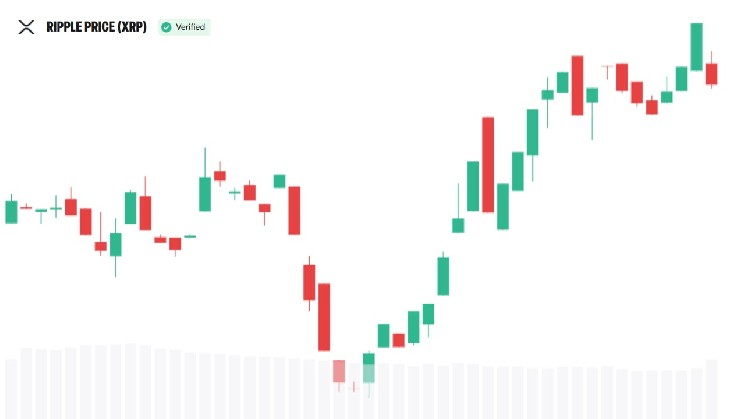 XRP Community Takes Center Stage in Evernorth Nasdaq Plans