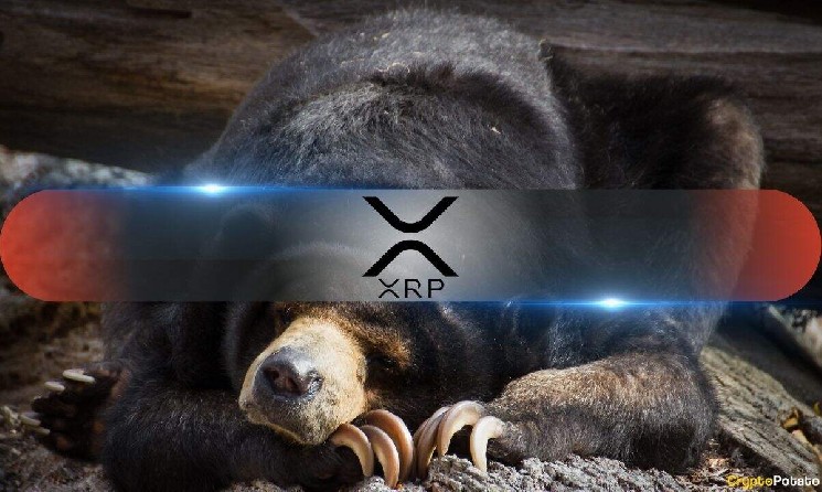 XRP Faces Key Test as Historical Pattern Points to Possible Pullback